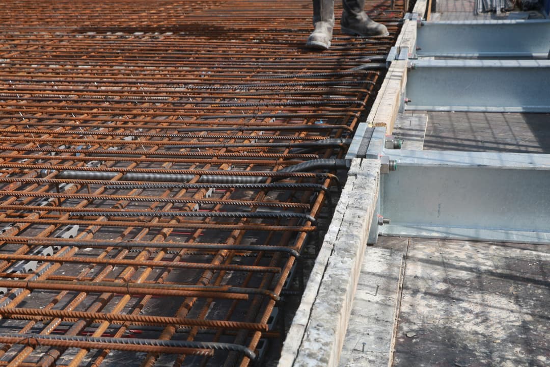 IMG_3463_dzied6-scaled